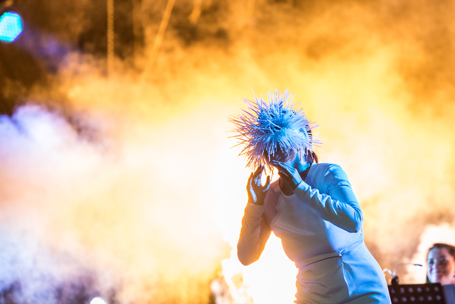 bjork_026
