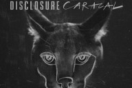 DIsclosure