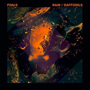 foals