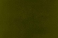 untitled unmastered