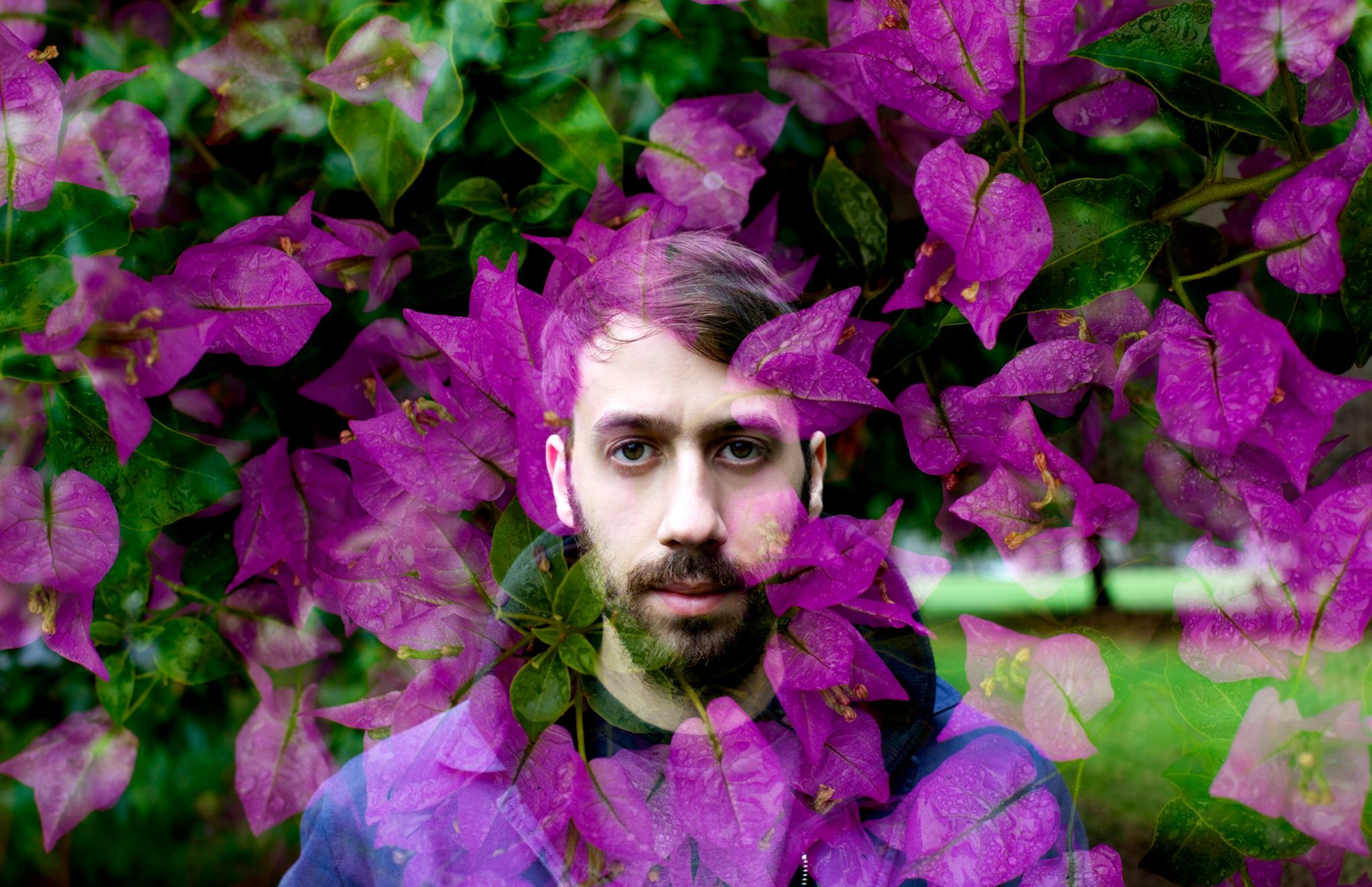 gold panda