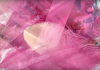 leon vynehall blush